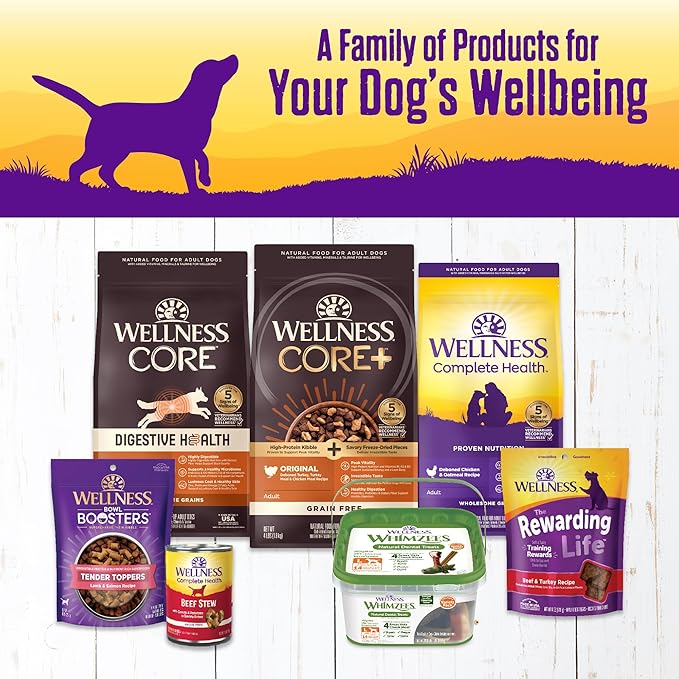 Wellness Complete Health Canned Wet Dog Food, Lamb & Beef Stew, 12.5-Ounce Can (Pack of 12)