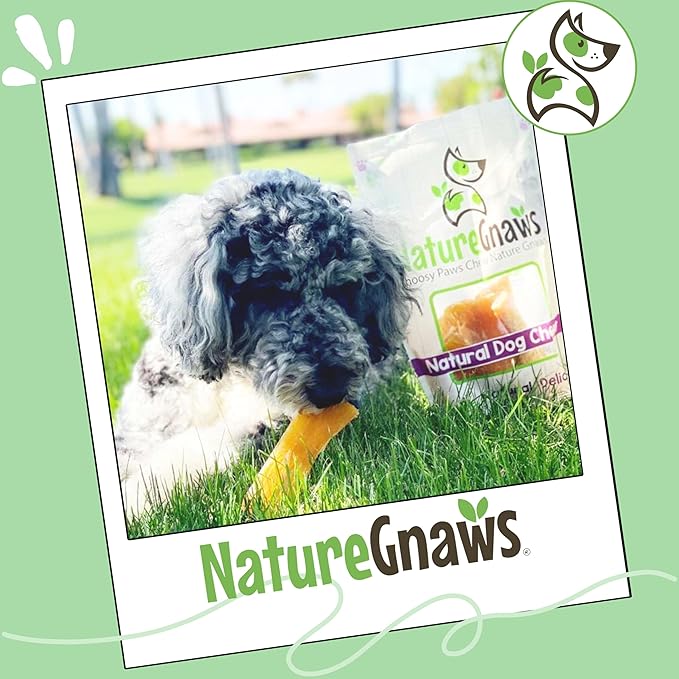 Nature Gnaws Beef Paddywack Tendons for Dogs 5-6" (10 Count) - Long Lasting for Aggressive Chewers - Natural Beef Dog Chew Bones - Rawhide Free