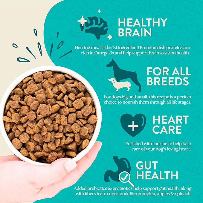 Earthborn Holistic Coastal Catch Herring Meal & Vegetables Grain-Free Dry Dog Food 4 lb