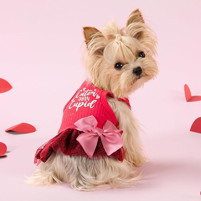 Fitwarm Cuter Than Cupid Dog Tulle Dress, Cute Girl Dog Clothes, Funny Pet Apparel, Burgundy Red, Large