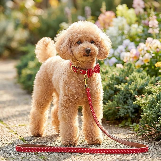 3PCS Bow Tie Dog Collar and Leash Set Plaid/Camo/Dots/Flower Dog Bandanas with Bell 3 Size Adjustable for Small Dogs Puppies and Cats (XS, Red Dots)