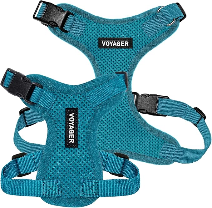Voyager Step-in Pet Harness - All Weather Mesh, Adjustable Step in Harness for Cats and Dogs by Best Pet Supplies - Turquoise, S