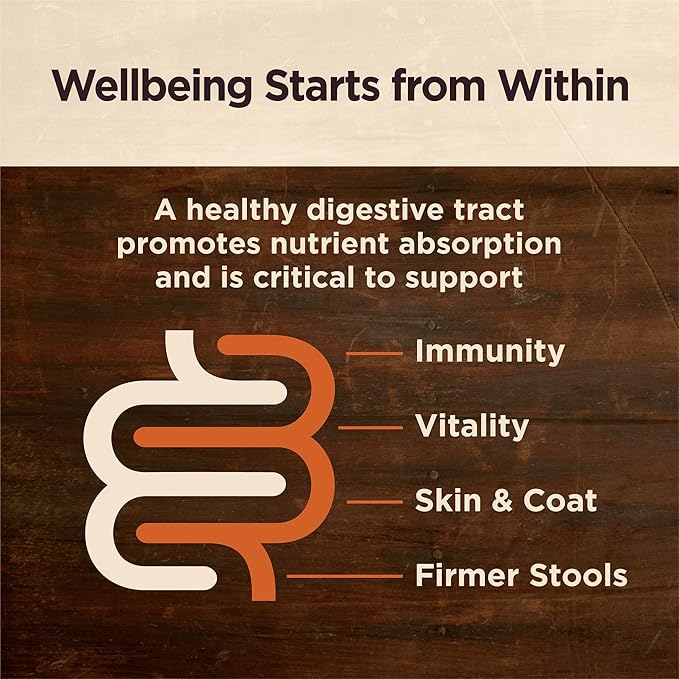Wellness CORE Digestive Health Lamb Grain Free Wet Dog Food, 13 Ounce Can (Pack of 12)