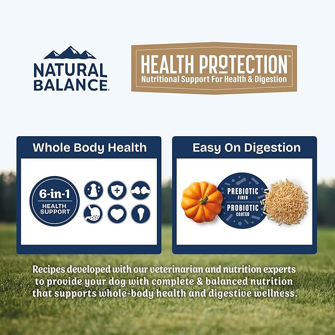 Natural Balance Health Protection Small Breed Dry Dog Food – Whole Body Health, Easy on Digestion Dog Food Made with Chicken, Brown Rice & Pumpkin for Dogs - 4lbs.