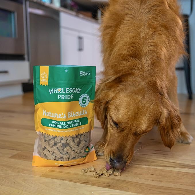 Wholesome Pride Nature's Biscuits Mini Dog Treats, Pumpkin