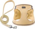Dog Harness with Leash Set, No Pull Adjustable Reflective Step-in Puppy Pet Vest Harnesses for Small Medium Large Dogs and Cats,Beige XXS