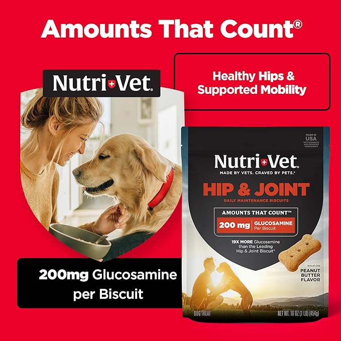 Nutri-Vet Hip & Joint Biscuits for Dogs, Tasty Glucosamine Treat, Puppy Supplements, Dog Joint Supplement, Small Sized Biscuit with 200mg Glucosamine, Puppy Essentials, Peanut Butter Flavor, 16 oz