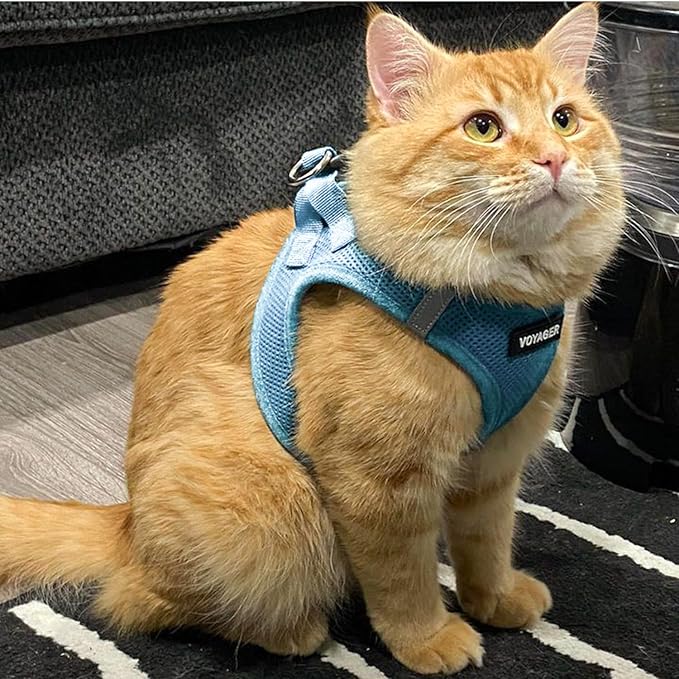 Voyager Step-in Pet Harness - All Weather Mesh, Adjustable Step in Harness for Cats and Dogs by Best Pet Supplies - 307S Baby Blue, XXXS
