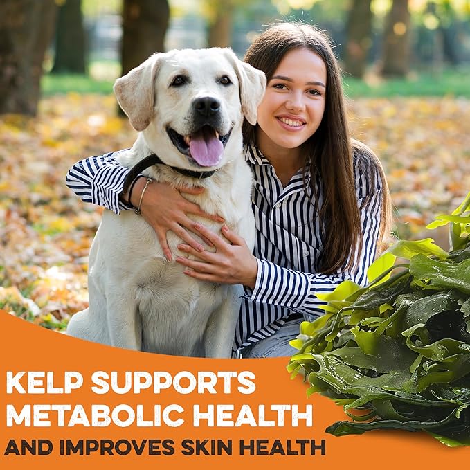 Sweet Potato Dog Treats - Grain Free, Salmon & Kelp Crunchy Sticks - Great Tasting, Promotes Positive Dog Gut Health with Natural Anti-Diarrhea Properties, No Preservatives Added (2lb Bag)