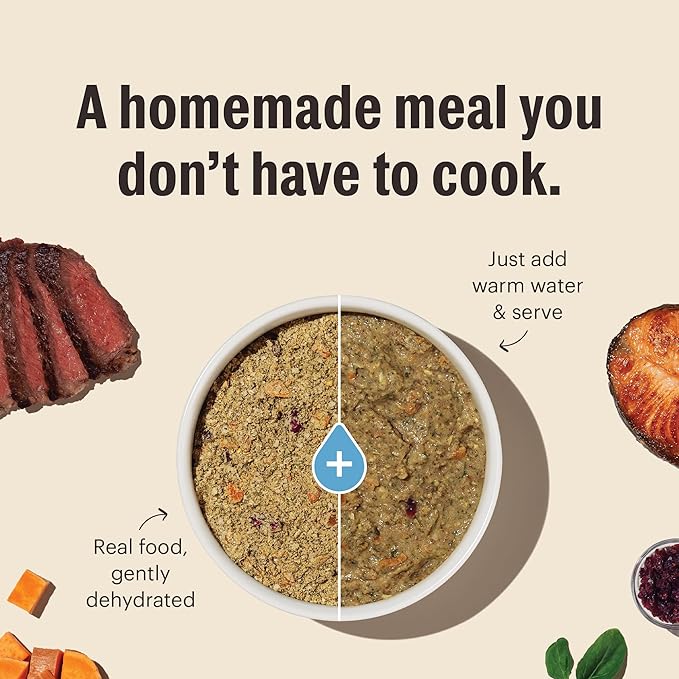 The Honest Kitchen Human Grade Wholemade™ Dehydrated Dog Food, Limited Ingredient Dog Food, Duck & Sweet Potato, 10 lb (makes 40lbs)