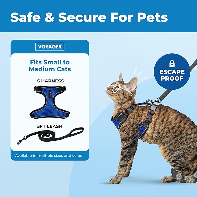 Voyager Escape-Proof Step-in Lock Cat Harness & 5ft Neoprene-Handle Leash Set All-Weather Mesh with Reflective Stitching for Small to Large Cats by Best Pet Supplies, Black Trim-Royal Blue (327), S