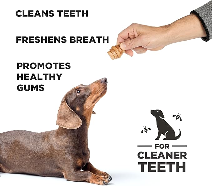 PROJECT HIVE ·PET COMPANY· Dental Chew Treats for Dogs, 8 oz, Small (S/M) – Peanut Flavor, Beehive-Shaped Dental Treats, Cleans Teeth & Freshens Breath, Vegetarian Recipe with Honey, No Grain or Soy