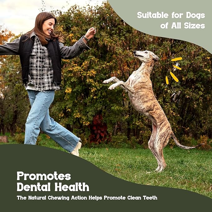 Beefeaters Medium Knotted Dog Bones Chicken Flavor 2ct (12 Pack) – Rawhide-Free Dog Chew Bones, No Artificial Flavors, Digestion-Friendly, Dental Support, Great for Puppies & Small Dogs