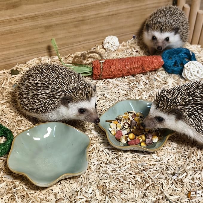Kathson Ceramic Hamster Food Bowl, Guinea Pig Food Bowls,Rats Anti-Turning Feeding Dish,Small Animals Water Drinking Bowls for Squirrel, Chinchilla, Hedgehog, Gerbil, Dwarf Syrian (2 pcs Green)