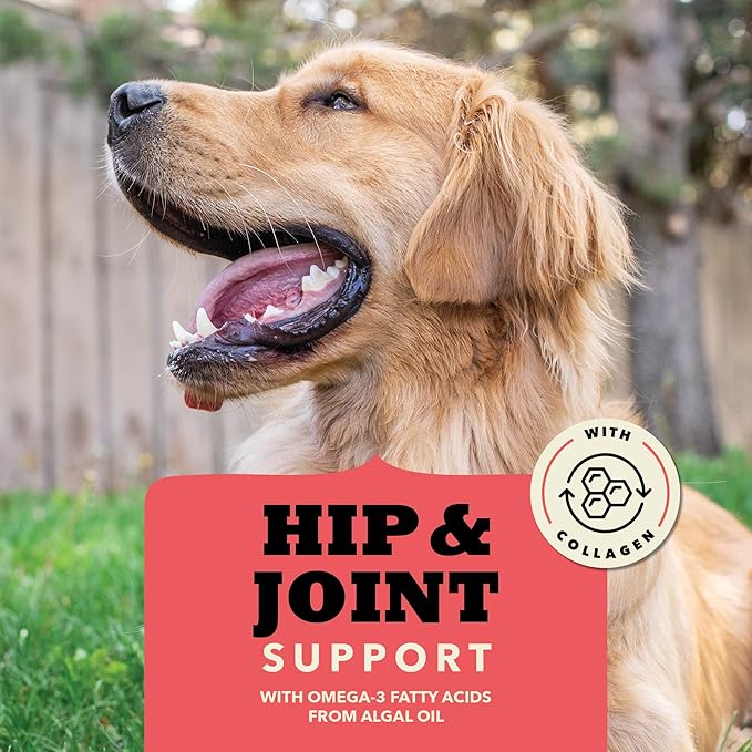 ACANA Chewy Strips Limited Ingredient Dog Treats Beef Recipe with Hip & Joint Support 4oz Bag