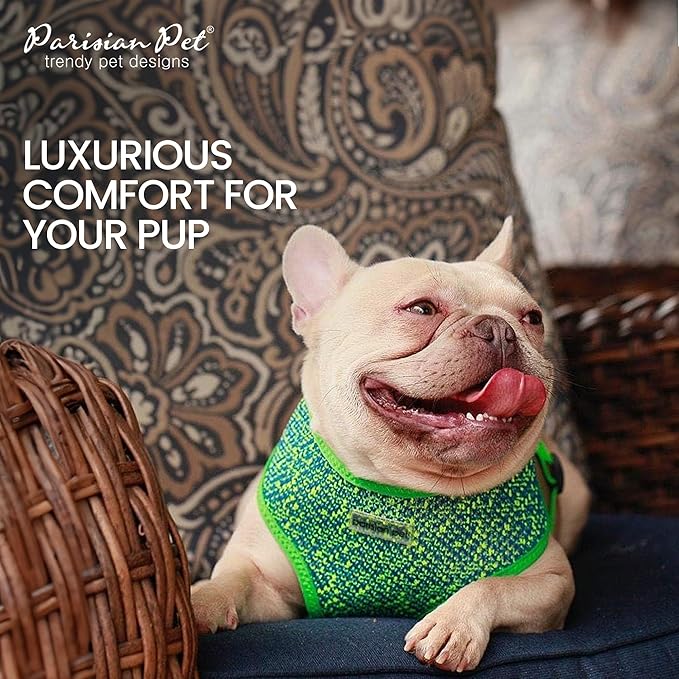 Parisian Pet Dog Harness - Breathable Mesh Green Blue No Pull Puppy Harness with Leash Ring - Adjustable Harnesses for Dogs - Soft Padded Step-in Pet Vest - Lightweight Dog Vests for Large Sized Dogs