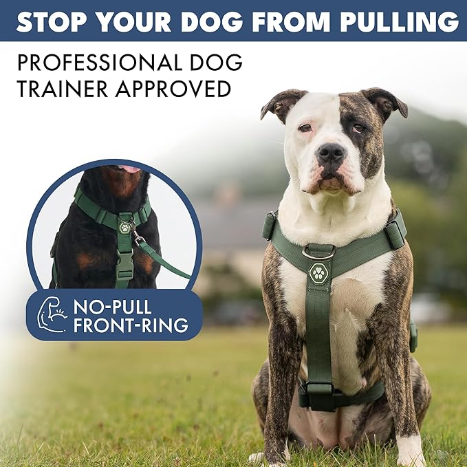 Spark Paws No Pull Dog Harness with Handle for Large Dogs, Heavy Duty Dog Harness for Big Strong Breeds, Adjustable, Y Shaped Padded Halter Design with Front Clip - Army Green - L