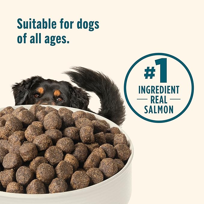 Nutrish Grain Free Dry Dog Food, Salmon & Sweet Potato Recipe, 23 lb. Bag (Rachael Ray)