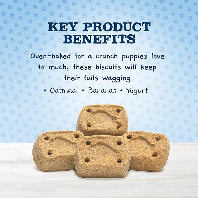 Blue Buffalo Baby Blue Crunchy Biscuits with DHA, Crunchy Dog Treats for Puppies, Made with Natural Ingredients, Oatmeal & Banana, 8-oz. Bag (Pack of 2)