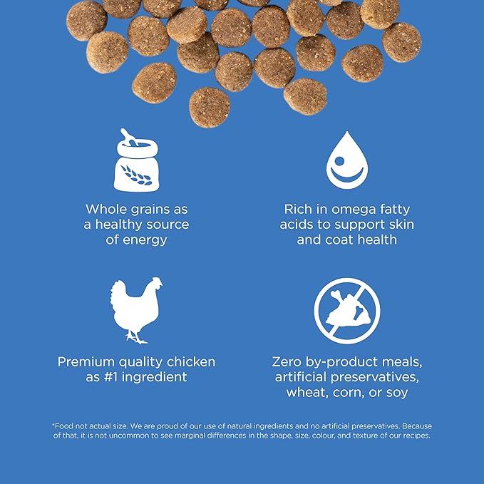 Go! Solutions Skin + Coat Care Chicken Dry Dog Food with Grains, Healthy Kibble with Omega-3s & 6s for Soft, Shiny Fur, for Puppies, Adults, & Seniors, 3.5 lb Bag
