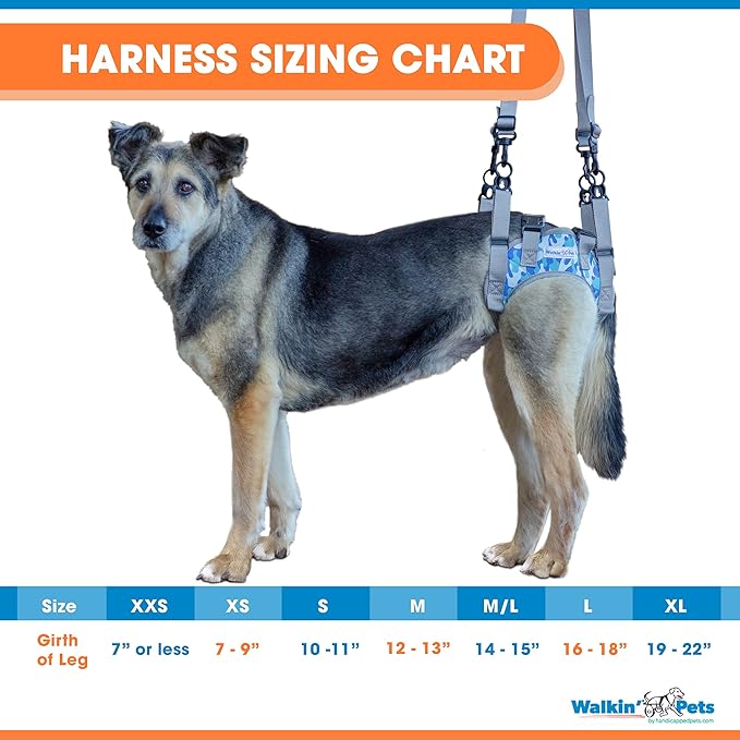 Walkin’ Warrior Rear Dog Harness for Mobility, Adjustable Handles, Rear Leg Dog Harness for Senior Dogs and Pets Recovering from Surgery