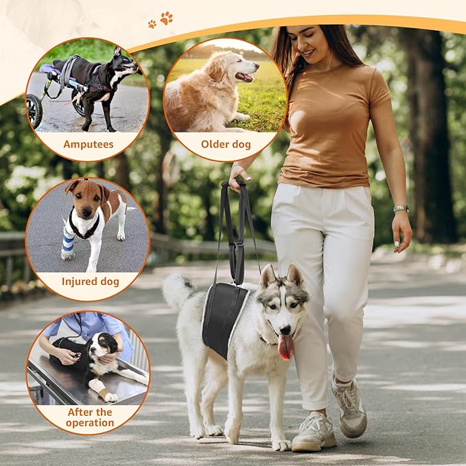 20-150 lbs Dog Lift Harness, Dog Sling for Large Dogs Hind Leg Support, Curved Plush Lining Dog Sling Carrier, Adjustable Dog Support Harness Helps Senior, Elderly, Injured Pet, Black X-Large