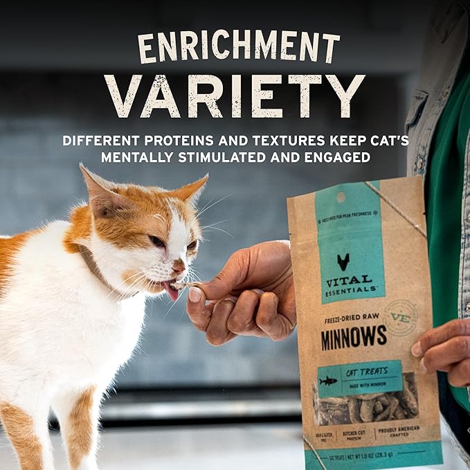 Vital Essentials Freeze Dried Minnows Cat Treats | Single Ingredient | Premium Quality | Grain Free, Healthy Treats for Cats, 0.5 oz Bag