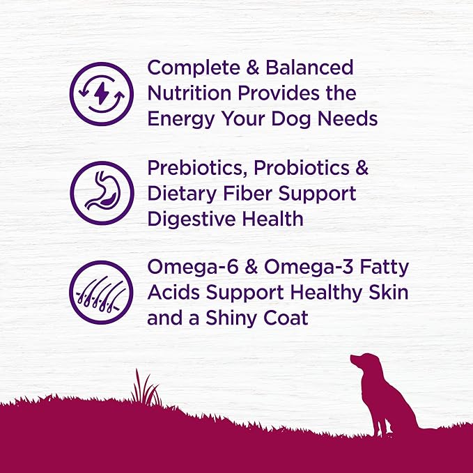 Wellness Complete Health Dry Dog Food, Small Breed, Grain Free, Natural, Turkey, Chicken, & Salmon Recipe (4-Pound Bag)