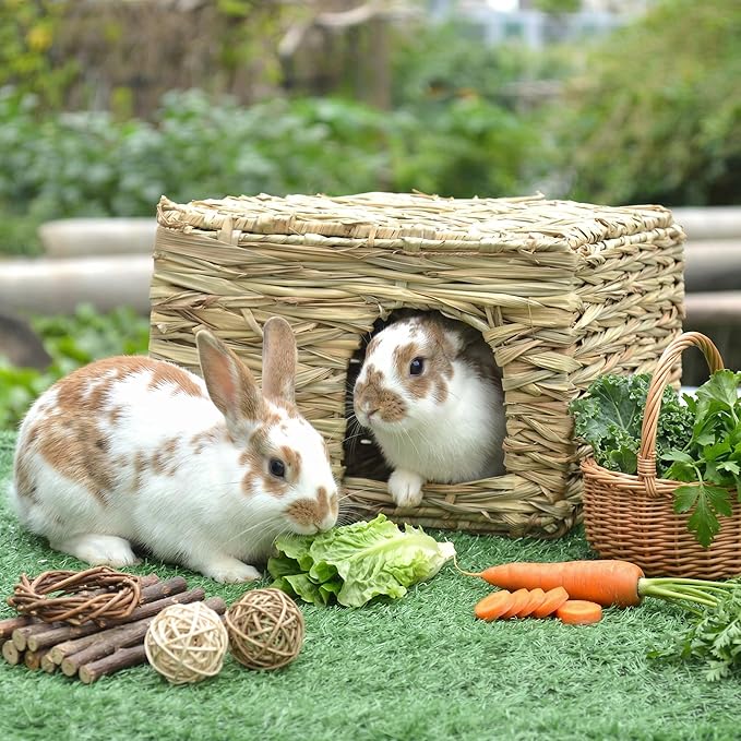 WUWEOT 2 Pack Large Grass Bunny House, Foldable Rabbit Hut, Play Hideaway Bed Hay Mat Chew Toy for Rabbit, Guinea Pigs, Gerbils, Hamster and Small Animals, 11"x8"x8"