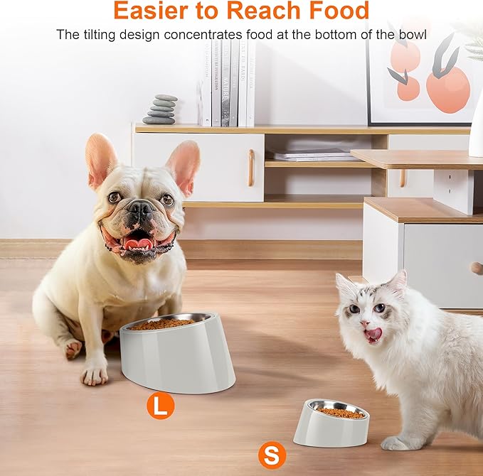 Tilted Dog Bowl Non-Slip & Non-Spill Pet Feeder with Elevated Detachable Melamine Stand, Easy to Get Food Dog Dish, S/100ml Gray