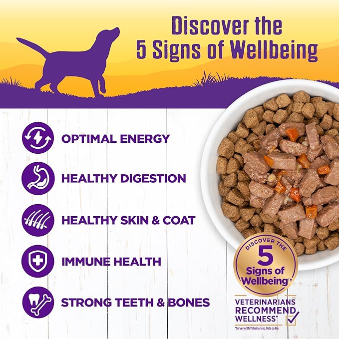 Wellness Complete Health Canned Wet Dog Food, Turkey Stew, 12.5-Ounce Can (Pack of 12)