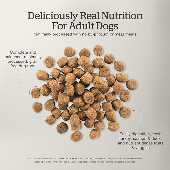 NOW FRESH Grain Free Dog Food, 12 lb – Grain Free Dry Dog Food Recipe for Adult Dogs with Real Meat and Fish for Protein – For Small, Medium and Large Breeds