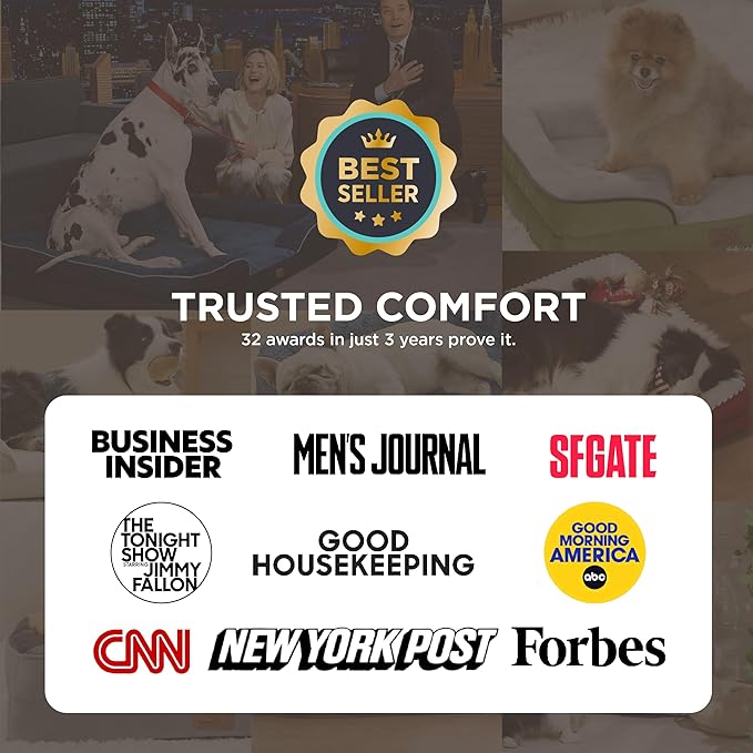 Bedsure Orthopedic Dog Beds for Small Dogs - Washable Small Dog Cat Bed Waterproof, Comfort Pet Couch Sofa with Washable Removable Cover, Pets Bed with Nonskid Bottom, Dune Haze Blue, 24"