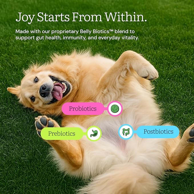 Get Joy Freeze Dried Raw Beef Meal, High Protein Grain Free, Dry Dog Food Meal Mixer and Topper, with Probiotics for Gut Health, Made with 100% USDA Organ Meat, for All Breeds and Ages, 32oz Bag