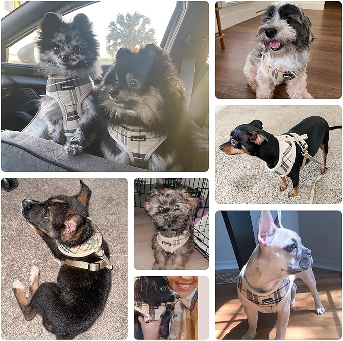 SCENEREAL Puppy Dog Harness with Leash Set for Small Medium Sized Dogs, Soft Mesh Pet Harnesses and Leash, No Chock Plaid Adjustable No Pull Vest for Dogs Cats, Chihuahua,Bulldog (Beige M)