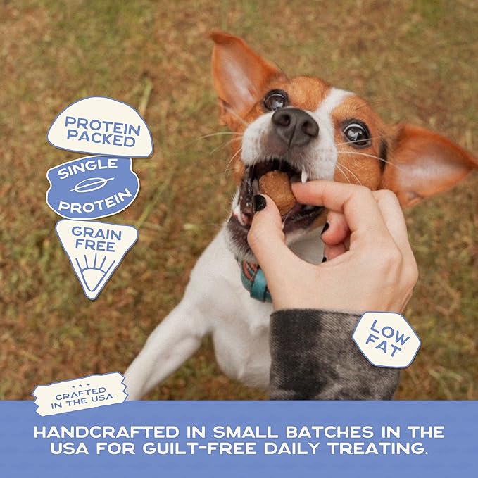 Smart Cookie All Natural Dog Treats - Trout & Apple - Training Treats for Dogs with Allergies, Sensitive Stomachs - Soft Dog Treats, Grain Free, Chewy, Human-Grade, Made in USA - 5oz, Pack of 3