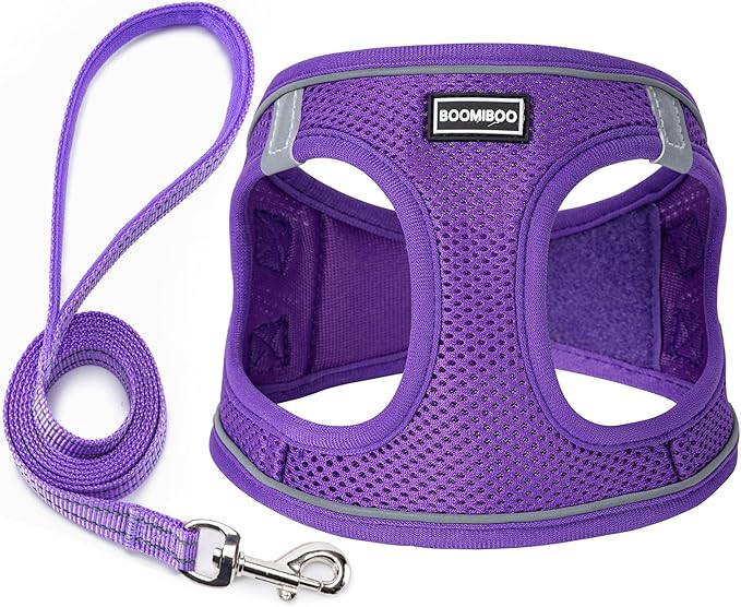 Dog Harness with Leash Set, No Pull Adjustable Reflective Step-in Puppy Pet Vest Harnesses for Small Medium Large Dogs and Cats,Purple XL