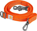 Carhartt Pet Durable Nylon Webbing Shock Absorbing Leash for Dogs, Reflective Stitching for Visibility, Hunter Orange, Large