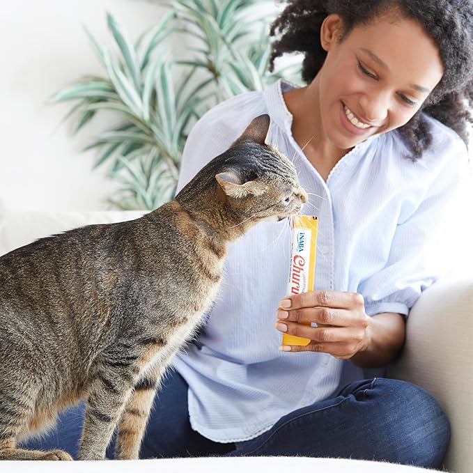 INABA Churu Cat Treats, Grain-Free, Lickable, Squeezable Creamy Purée Cat Treat/Topper with Vitamin E & Taurine, 0.5 Ounce - 50 Count (Pack of 1), Beef & Cheese Variety