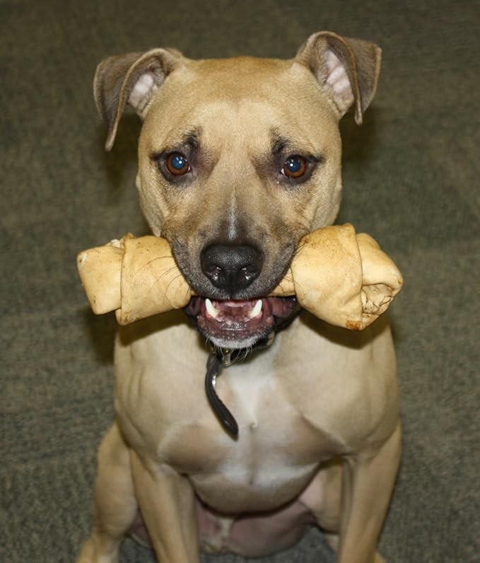 Healthy Beefhide Rawhide Dog Bones - Raw Hide Chews Dog Treats Pastrami Flavored Rawhide Bones (Small Dogs 15 LBS and Under)