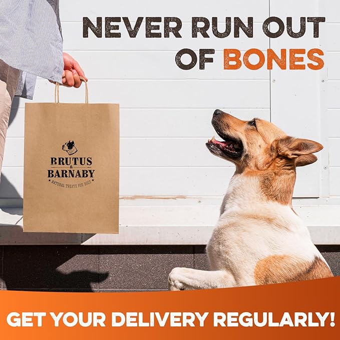 BRUTUS & BARNABY Marrow Bones for Dogs – 100% USA-Sourced Beef Bones – Long-Lasting, All-Natural Dog Chews – High Protein, Supports Dental Health, (3-pk) – Made in The USA