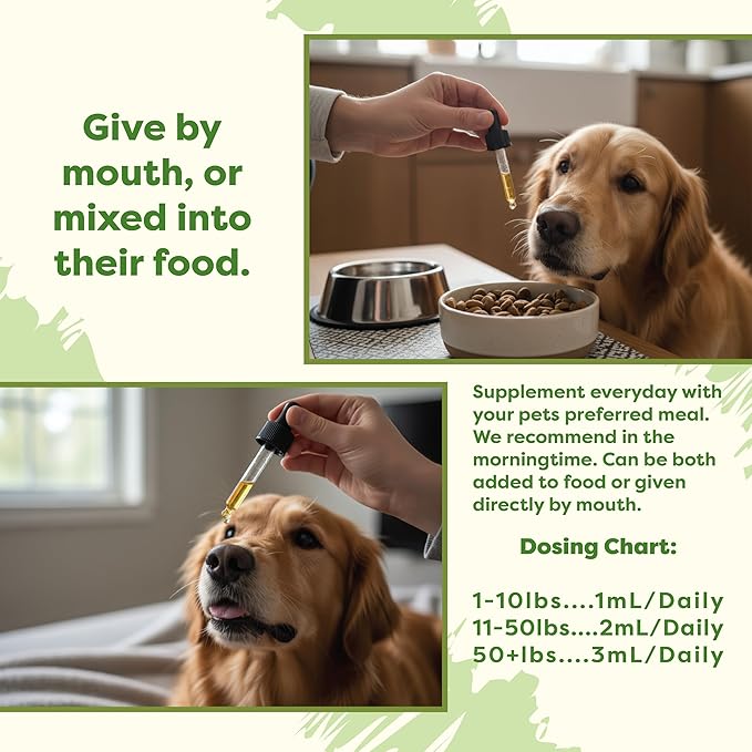 RestoraPet 1-Pack Dog & Cat Bacon Liquid Multivitamin | Dog Arthritis Pain Relief | Hip & Joint Vitamins for Dogs - Anti Inflammatory Supplement for Dogs & Cats | Organic & Non-GMO, Vet Approved