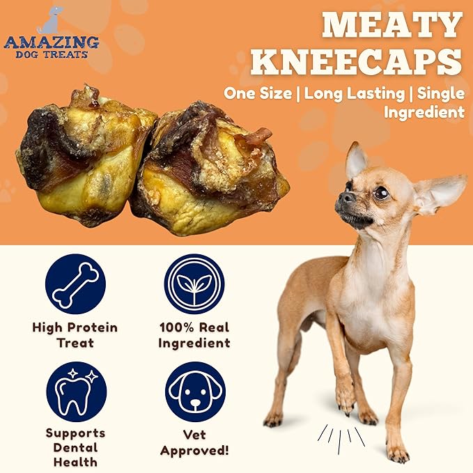 Amazing Dog Treats - Meaty Knee Cap Bones (10 Count) - Sourced from Premium Grass Fed Cattle - Knee Cap Bones for Dogs - Long Lasting Dog Chews - Smoked Tasty Dog Chews for Aggressive Chewers