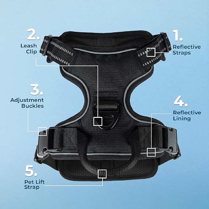 Voyager Dog Harness Dual Leash Attachment No-Pull Control Adjustable Soft but Strong Pet Harness for Medium and Large Dogs with 3M Reflective Technology, Black Nylon, XS (Chest: 13-16")