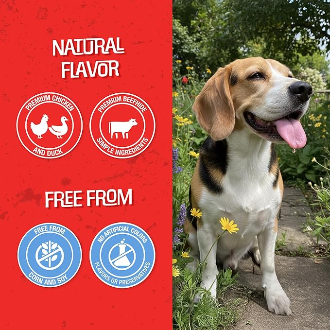 CHOMP 'EMS Five Flavor Kabobs Dog Treats - Beefhide Chewstick - High Protein Dog Chews, 15 Count