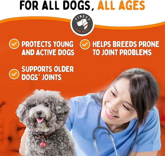 Liquid Glucosamine for Dogs with Chondroitin, MSM & Hyaluronic Acid (16oz). Hip & Joint Supplement Supports Better Mobility & Promotes New Cartilage. Eases Joint Stiffness. Rejenease, Made in USA