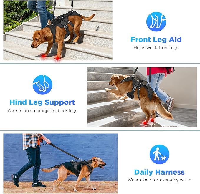 Dog Lift Harness, Full Body Support & Recovery Sling with Rear Leg Strap – Pee-Able Design for Large/Medium Dogs, Mobility Aid Harness for Senior, Injured, Disabled, Arthritic & Post-Surgery Pets (M)