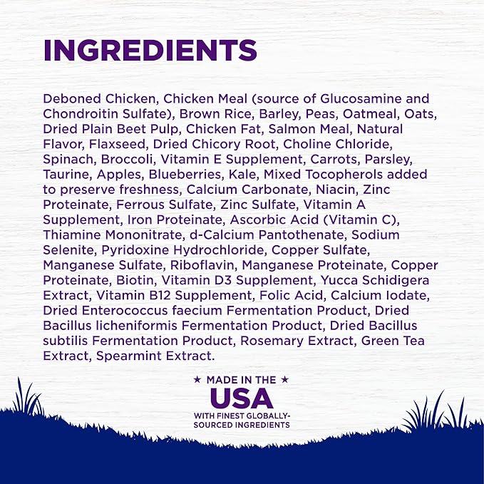 Wellness Complete Health Dry Dog Food, Large Breed, Wholesome Grains, Natural, Chicken & Brown Rice Recipe, (15-Pound Bag)