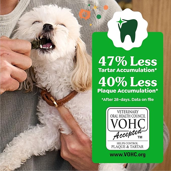 Greenies Veterinarian-Recommended, Limited-Edition Natural Dental Dog Treats Large Size, Pumpkin Spice Flavor, 12 oz. Pack, 8 Count