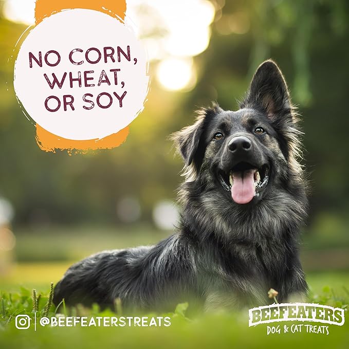 Beefeaters Beefhide 5in Twist with Real Chicken – Protein-Rich Dog Treats for Clean Teeth, Ideal for Training & All Dog Sizes
